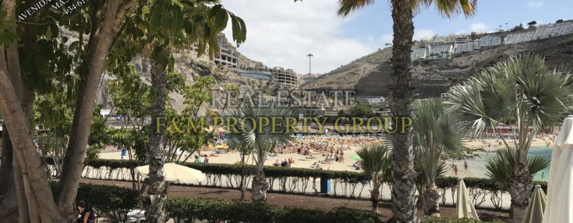 REAL ESTATE F&M PROPERTY GROUP IN GRAN CANARIA