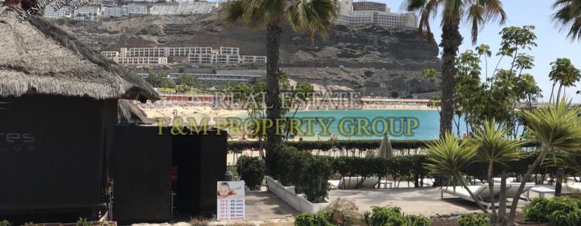 REAL ESTATE F&M PROPERTY GROUP IN GRAN CANARIA