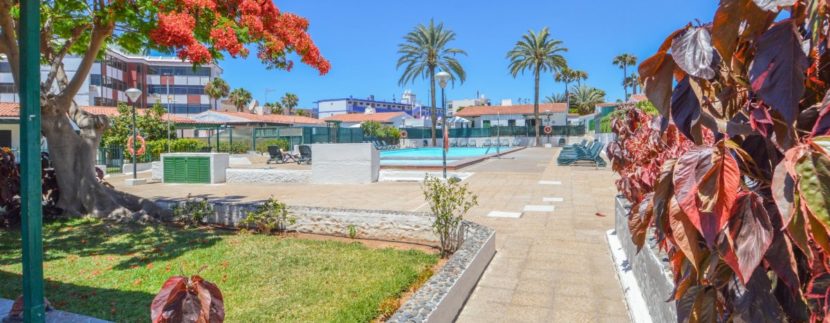 Bungalow in Playa del ingles Gran Canaria Agenzia Immobiliare F&M PROPERTY GROUP