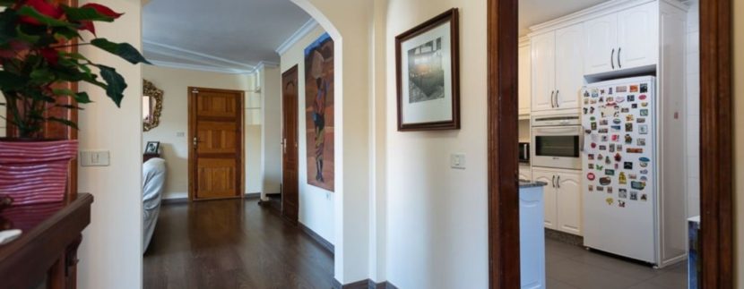 foto19