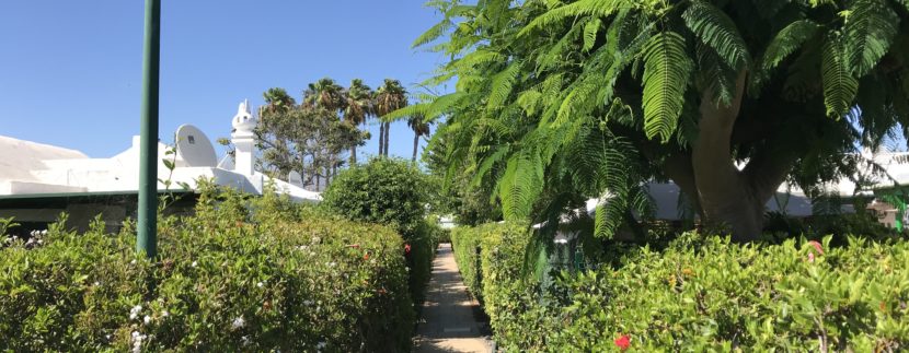 BUNGALOW CON GIARDINO IN VENDITA A GRAN CANARIA ISOLE CANARIE ZONA CAMPO INTERNACIONAL