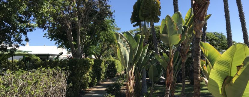 BUNGALOW CON GIARDINO IN VENDITA A GRAN CANARIA ISOLE CANARIE ZONA CAMPO INTERNACIONAL