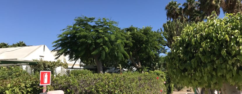 BUNGALOW CON GIARDINO IN VENDITA A GRAN CANARIA ISOLE CANARIE ZONA CAMPO INTERNACIONAL